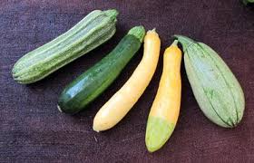 Bake, steam, put in stews, and roast the seeds, or of course make a pumpkin pie. Squash Types Of Zucchini Garden Layout