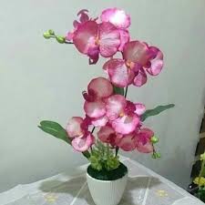 Hiasan bunga orkid terkini shopee malaysia. Raya Sale Siap Gubah Orkid Cotton 2 Tangkai Shopee Malaysia