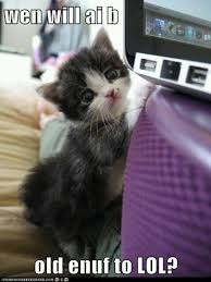 Soon Little One Cute Animal Pictures Funny Cat Memes Cats