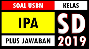 Kali ini akan saya bagikan latihan soal ipa kelas 8 smp/ mts semester ganjil. Prediksi Soal Usbn Ipa Sd Mi Dan Kunci Jawaban Terbaru 2020 Youtube