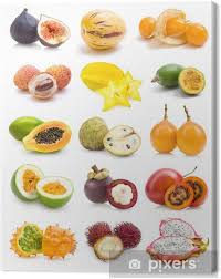 Maybe you would like to learn more about one of these? Leinwandbild Exotische Obst Sammlung Pixers Wir Leben Um Zu Verandern