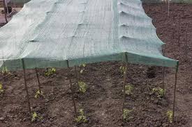 We sell the best quality landscape, greenhouse and geotextile fabric supplies at the lowest prices in the industry. Garden Shading Shade Cloth For Vegetable Garden Grow Food Guide