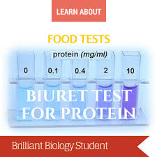 Food Tests Benedicts Test For Reducing Sugar Brilliant