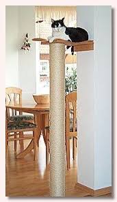 Leos Kratzbaumtipp Diy Anleitung Mit Bildern Kratzbaum Katze Katzen Spielplatz Kratzbaum