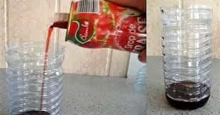 Destruction d'un nid de frelon asiatique. Comment Fabriquer Un Piege A Frelons Efficace