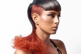 Live & Let Dye — Tom Hollow