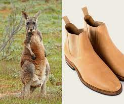 The Pros And Cons Of Kangaroo Leather - Stridewise.com