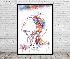 Face Anatomy Brain Anatomy Medical Art Watercolor Brain Etsy Medical Art Art Anatomy Art