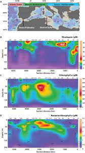 Microbial Rhodopsins Are Major Contributors To The Solar Energy Captured In The Sea Science Advances