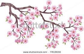 Cherry Blossom Branch Stock Photos Cherry Blossom Branch Stock Photography Cherry Blossom Branch St Cherry Blossom Drawing Tree Drawing Cherry Blossom Branch