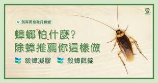 有螳螂、 蜣螂、 蟑螂、 蚂螂 a beetle name。 如: è'èæä»éº¼ è©²å¦ä½æ¶é¤è'è é¤è'æ¨è¦ä½ éæ¨£åå°±å°äº