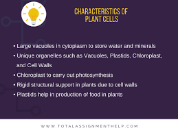 We did not find results for: The Major Difference Between Plant Cell Vs Animal Cell Total Assignment Help