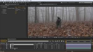 Sesuaikan dengan kebutuhan saja yaaa…. How To Make Look Up Tables In After Effects And Premiere Pro Diy Color Preset Luts