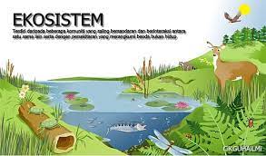Keterkaitan antar lokasi atau ruang disini dapat juga dilihat secara fisik maupun non fisik. Saling Bersandaran Antara Organisma Hidup Spesies Populasi Komuniti Habitat Dan Ekosistem