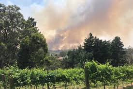 A popular adelaide hills winery's vineyard has gone up in flames and a kindergarten in adelaide's firefighters say difficult terrain and catastrophic conditions mean the fire is unlikely to be controlled. Third Of Adelaide Hills Vineyards Lost In Wildfires