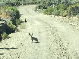 We did not find results for: The Best Attractions In Denio Destimap Destinations On Map