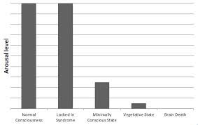 We did not find results for: Etat De Conscience Minimal Wikipedia