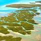 Grassy Key Paddle Battle