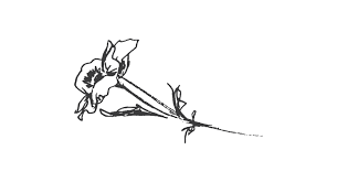 Detailed information about karen m trask, a nurse practitioner specialist in gilbert az, including overview, doctor profile, medical licenses, affiliated hospitals, group practices, practice locations and more. Karen Flowers Salon Flourish