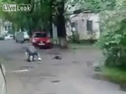 Otto anni da quando i nostri stessi compagni hanno iniziato ad alzarsi e ad attaccarci. La Lunga Strada Verso Casa Video Dailymotion