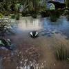 Survivial evolved and is caused by the diseased leech. Https Encrypted Tbn0 Gstatic Com Images Q Tbn And9gcruuhkpje93wsvcxwqaml2wt13kjpoic14wuxiprshppb8l Kak Usqp Cau