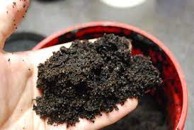 3 Simple Soil Building Tips Coffee Grounds Uses For Coffee Grounds Easy Garden