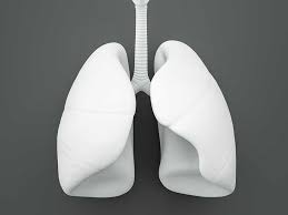 Smoking is the number one cause of lung cancer. What Are The Stages Of Metastatic Lung Cancer