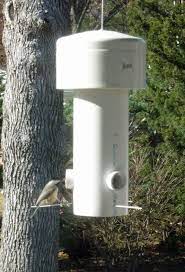 Grant Maclaren S Squirrel Proof Bird Feeder Squirrel Proof Bird Feeders Squirrel Feeder Diy Bird Feeder Plans