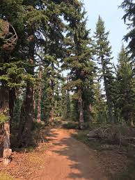 Our Pete Ott Lake Adventure : Clearwater Trekking