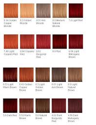 Auburn Hair Red Hair Color Chart