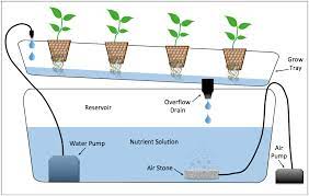 If want further information on nft hydroponics, you can check out my video. Diagram Of The Nutrient Film Technique Nft Hydroponic System Hydroponics System Hydroponics Aquaponics System
