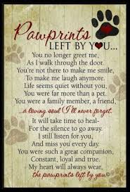 7 Quotes That Ll Help You Cope With Losing Your Pet Sympathy Quotes Pet Loss Grief Pawprints Left By You