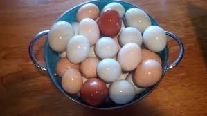 Eggs are highly useful in cooking. Recipes To Use Up Egg Surplus