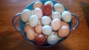 Recipes To Use Up Egg Surplus