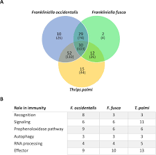 13 видео 18 просмотров обновлен 10 сент. Genome Enabled Insights Into The Biology Of Thrips As Crop Pests Biorxiv