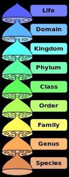 Ams Feature Column Building Trees For Biologists Science Biology Microbiology Study Biology