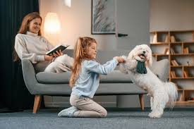 5 Essential Pet Wellness Tips: Keeping Your Furry Friend Happy and Healthy  - Ivy Pets