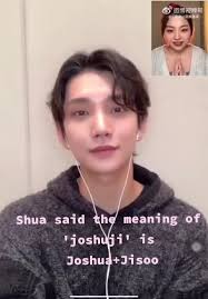 Joshua Fan Sign Incident