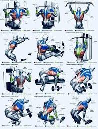 Arka Kol Best Chest Workout Chest Workouts Weights Workout
