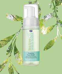 How to use witch hazel for acne. Tea Tree And Witch Hazel Skin Benefits Combination