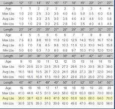 Striped Bass Age Chart Delaware Surf Fishing Com