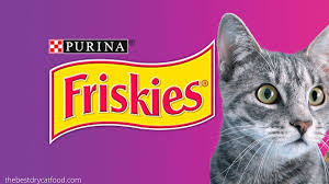 If you prefer dry cat food for your furry friend, you should only choose the best of the best. Purina Friskies Dry Cat Food Reviews Exclusive Analysis
