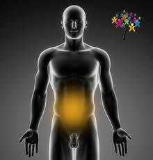 Mal de tête, migraine, état grippal, fièvre, mal de ventre, douleur de règles, mal de dents, courbature, crampe, entorse, douleur de l'accouchement douleurs chroniques tendinite, douleur articulaire (arthrose), douleur osseuse (fracture), mal de dos, douleur suite à un accident ou une opération douleurs liées à des maladies douloureuses Douleur Abdominale De L Enfant Symptomes Traitement Definition Docteurclic Com