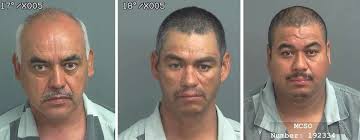 Crosby man charged with animal cruelty after dog kennel set ablaze with pit  bull chained to it