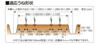 商品情報 葉茎菜類移植機 たまねぎ収穫機 たまねぎピッカー 井関農機株式会社