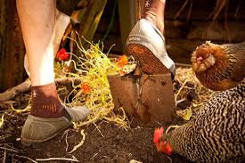 We did not find results for: A Giveaway From Bogs Stylie And Sturdy Shoes For The Garden And Beyond Garden Betty