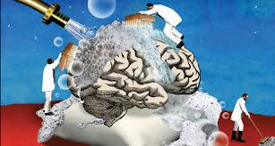 Image result for glymphatic sleep