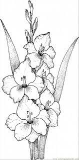 Check spelling or type a new query. Flowers Gladiolus Flower Drawing Flower Sketches Coloring Pages