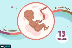 How many hours, minutes and seconds ago? 13 Weeks Pregnant Baby Development Symptoms And More