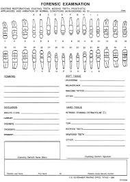 42 Right Printable Dental Chart